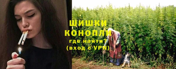 ГАЛЛЮЦИНОГЕННЫЕ ГРИБЫ Ветлуга