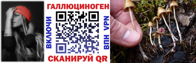 цена   Володарск  Галлюциногенные грибы GOLDEN TEACHER 