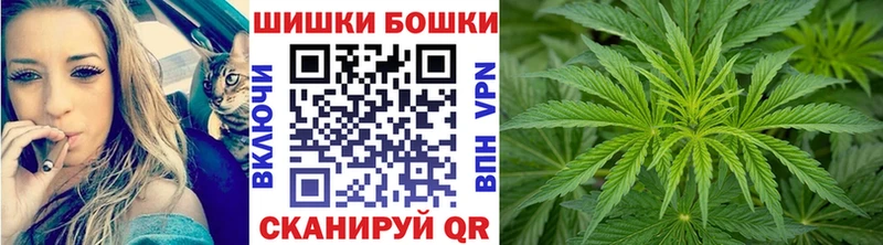 Марихуана сатива  продажа наркотиков  Володарск 